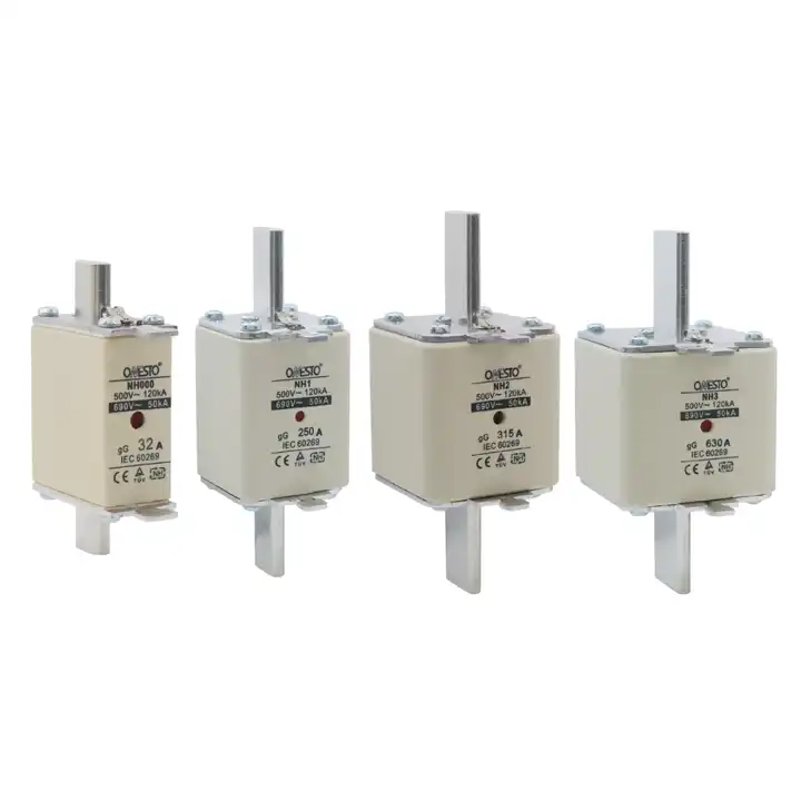 NH fuse NH2 315A gG type